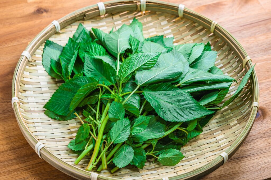 大地を守る会　支払い方法